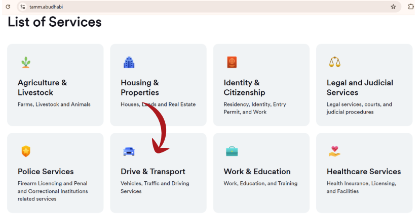Check Fines Using TAMM Website